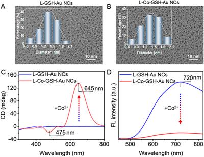 Ultrasensitive and highly selective Co2+ detection based on the chiral optical activities of L-glutathione-modified gold nanoclusters